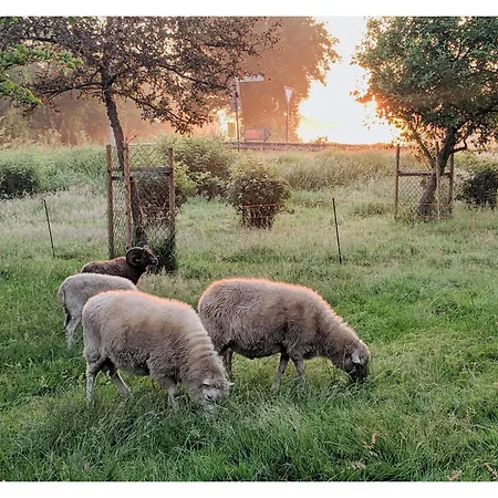 Apartment - De Deelstuuv